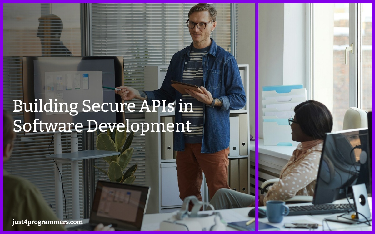 Building Secure APIs in Software Development