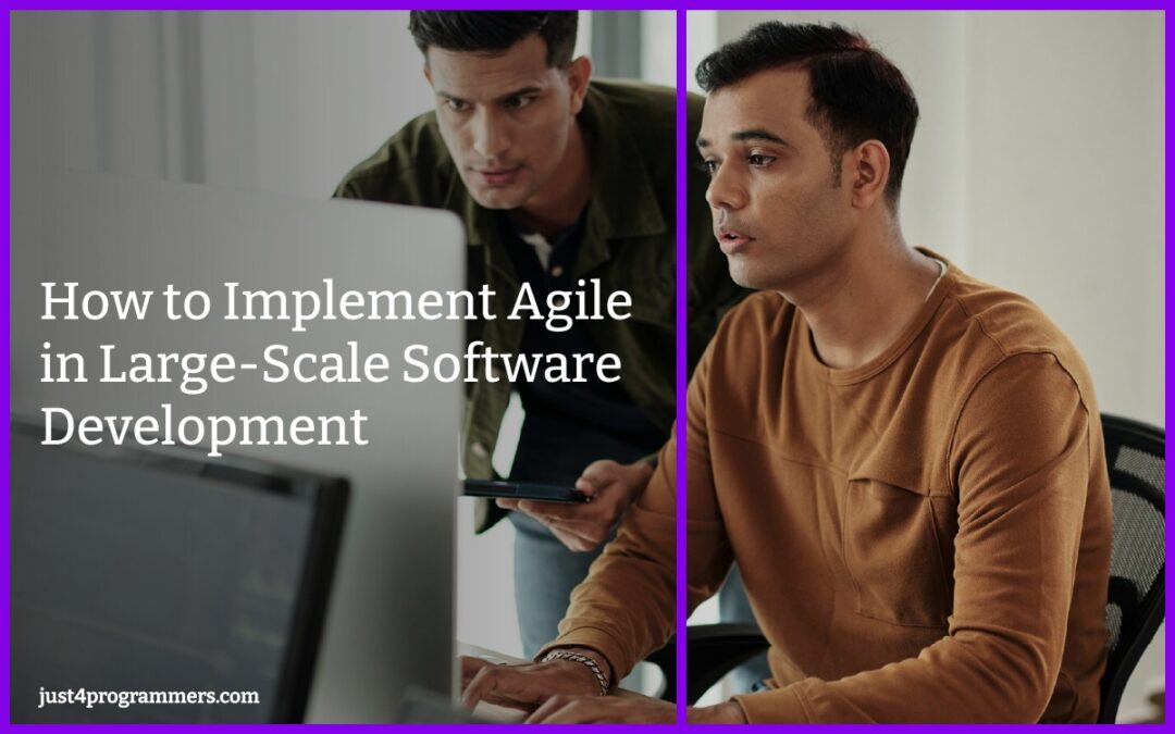 How to Implement Agile in Large-Scale Software Development