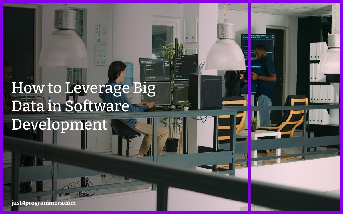 How to Leverage Big Data in Software Development